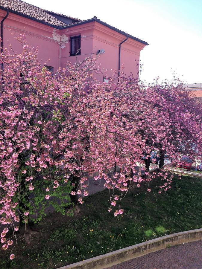 Casa Agnese Bed and Breakfast Άλμπα Εξωτερικό φωτογραφία