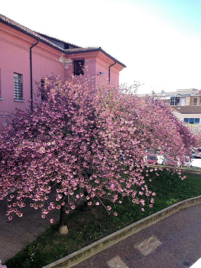 Casa Agnese Bed and Breakfast Άλμπα Εξωτερικό φωτογραφία